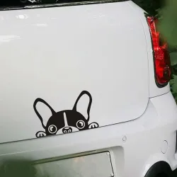 Imperméable - auto en vinyle avec le visage d'un chien