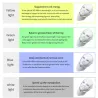 7 colors LED electric face and neck mask - acne treatment - light therapyHuid