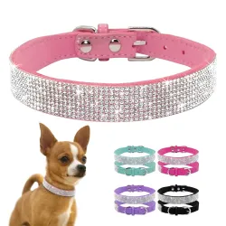 Col en cuir avec strass pour chiens et chats