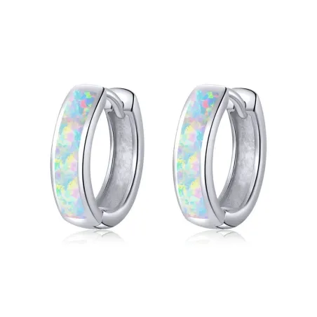 925 sterling zilveren oorbellen met opaalOorbellen