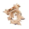 Broches papillon bleu rose