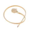 Sweet Apple Elastic Belt - WomenRiemen
