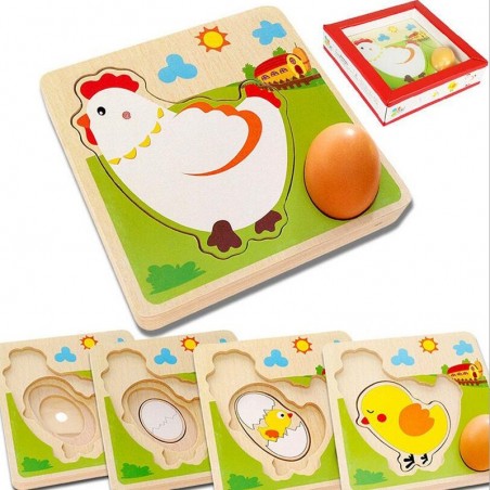 Puzzle en bois 3D - mèche multicouche - oeufs pondus - croissance de poulet - jouets éducatifs