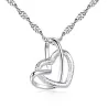 Hartvormige hanger - ketting van roestvrij staal - 23 typesHalskettingen