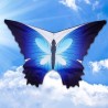 Butterfly hard-winged kite - nylon - outdoor - kites - children - toysKites