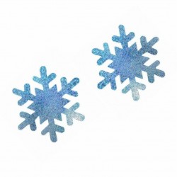 10 paires - Couvertures de mamelons - Snowflakes