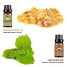 Huiles essentielles pour diffuseur / humidificateur / massage / aromathérapie - 10ml - 16 pièces