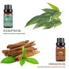 Huiles essentielles pour diffuseur / humidificateur / massage / aromathérapie - 10ml - 16 pièces
