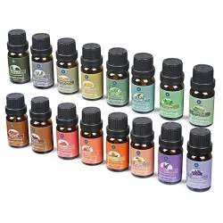 Huiles essentielles pour diffuseur / humidificateur / massage / aromathérapie - 10ml - 16 pièces