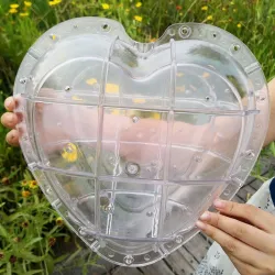 Mold de façonnage de pastèque - Heart - Square