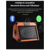 Muziekversterker - buitenluidspreker - voor gitaren / elektrische gitarenGitaar