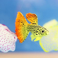 Goldfish ornament - aquarium - artificial glow - fish tank