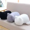 Cat shaped pillow - plush toyCuddly toys