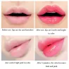 Aloë vera lippenbalsem - kleur veranderende lippenstift - hydraterend / langdurigLippenstiften