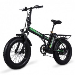 Electric bike - big tire - foldable - 500W4.0 - 48V lithium battery