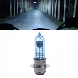 Motorlamp - Xenon - wit - P15D-25-1 - 12V - 35WVerlichting