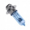 Motorlamp - Xenon - wit - P15D-25-1 - 12V - 35WVerlichting