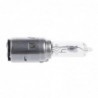 Motorlamp - wit - halogeen - Xenon - DC 12V - 35W - BA20DVerlichting