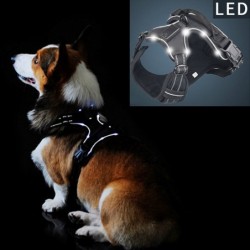 Dog's harness - with LED - adjustable - reflective - waterproof
