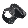 Dog's harness - with LED - adjustable - reflective - waterproof