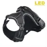 Dog's harness - with LED - adjustable - reflective - waterproof