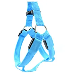 Dog harness - LED - flashing / glowing lights - night safetyCollars & Leads