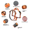 Dog harness - reflective nylon - adjustable