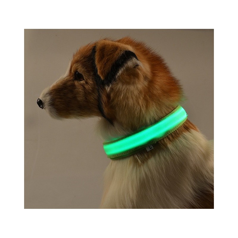 LED dog collar - luminous / flashing - safety night walkCollars & Leads