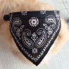 Collier réglable avec écharpe - pour chiens / chats / animaux de compagnie