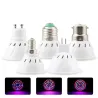LED plant grow light - bulb - hydroponic - full spectrum - E27 / E14 / GU10 / MR16 / B22 - 220V - 3W / 4W / 5W