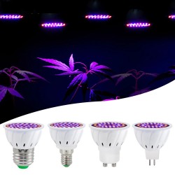 LED plantengroeilamp - bol - hydrocultuur - full spectrum - E27 / E14 / MR16/ GU10 - 220V - 2 stuksKweeklampen