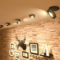 LED plafondlamp - inbouw - draaibaar - dimbaar - COB - inbouwspot - 3W / 5W / 7W / 9W / 12WPlafondverlichting