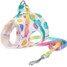 Dog harness with leash / buckle - rainbow dots