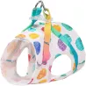 Dog harness with leash / buckle - rainbow dots