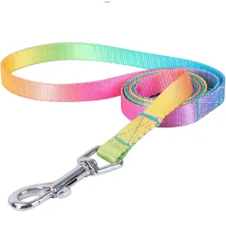 Dog harness with leash / buckle - rainbow dotsCollars & Leads
