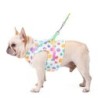 Dog harness with leash / buckle - rainbow dotsCollars & Leads