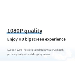HDMI-compatibel naar VGA-adapter - micro-USB - met video-/audiovoeding - 1080PAudio