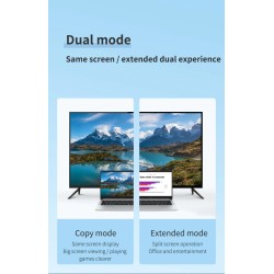 HDMI-compatibel naar VGA-adapter - micro-USB - met video-/audiovoeding - 1080PAudio