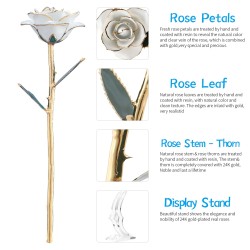 Rose trempée dans l'or 24 carats - avec support - anniversaire / Saint Valentin / cadeau de mariage