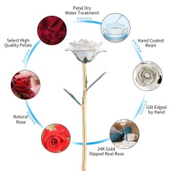 Rose trempée dans l'or 24 carats - avec support - anniversaire / Saint Valentin / cadeau de mariage