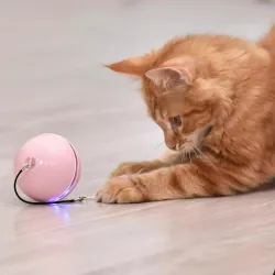Jouet interactif pour chiens/chats - balle avec lumière/son/plume - USB