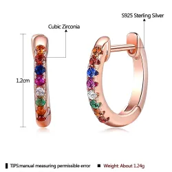 Elegante kleine oorringen - met zirkonia - 925 sterling zilverOorbellen