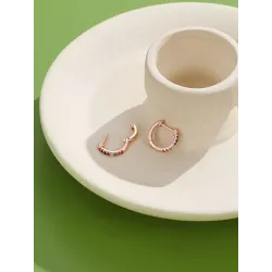 Elegante kleine oorringen - met zirkonia - 925 sterling zilverOorbellen