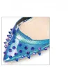 Sexy pumps met hoge hak - transparant - met enkelbandje / klinknagelsHoge hakken