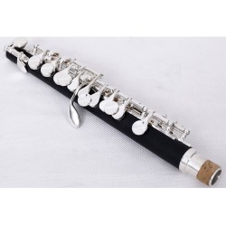 MORESKY - mini piccolo - flûte en Do - cupronickel - plaqué argent - avec étui