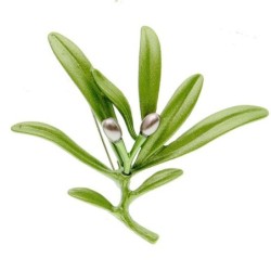 Broche élégante avec olive verte
