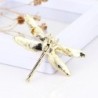Fashionable vintage brooch - with crystal dragonflyBrooches
