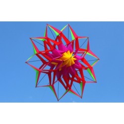Cerf-volant sport / plage - fleur 3D - avec poignée / ligne