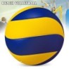 Ballon de beach-volley bleu-jaune