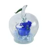 Infinity rose in apple-shaped glass - handmadeValentine's day